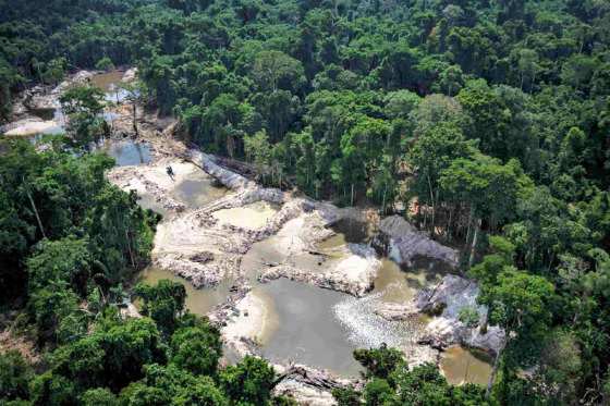 MT:  MEIO AMBIENTE:  Governo pede e deputados aprovam garimpo em áreas de reserva legal