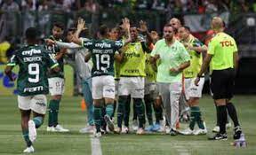 Após empate do Botafogo, Palmeiras vê chance de título brasileiro superar 50%