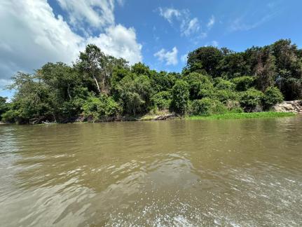 MT:  DANO AMBIENTAL:  Deputado acusa poluição de rio com rejeitos de garimpo