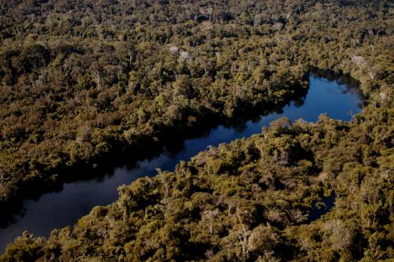 MT:  EXPEDIÇÕES AMAZÔNICAS:   Governo de MT investe R$ 2 milhões para apoiar pesquisas de impacto direto na cadeia produtiva da Amazônia Legal