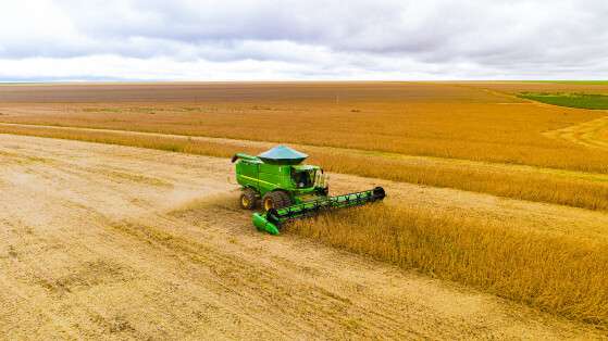 MT.   COM PARECER DO INDEA,     Prazo de plantio da soja é ampliado em Mato Grosso