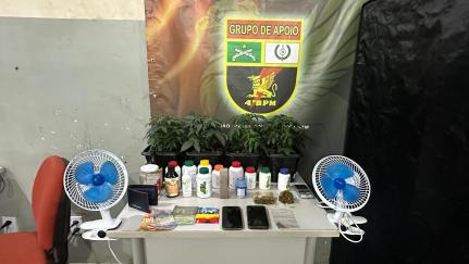 PM prende dupla com droga e encontra estufa com vasos de maconha em VG