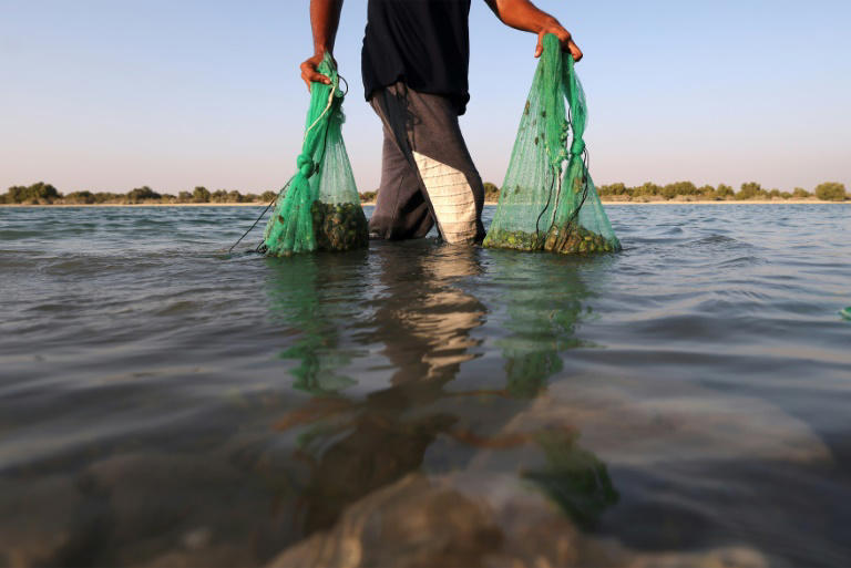 Como a mudança climática afeta a saúde