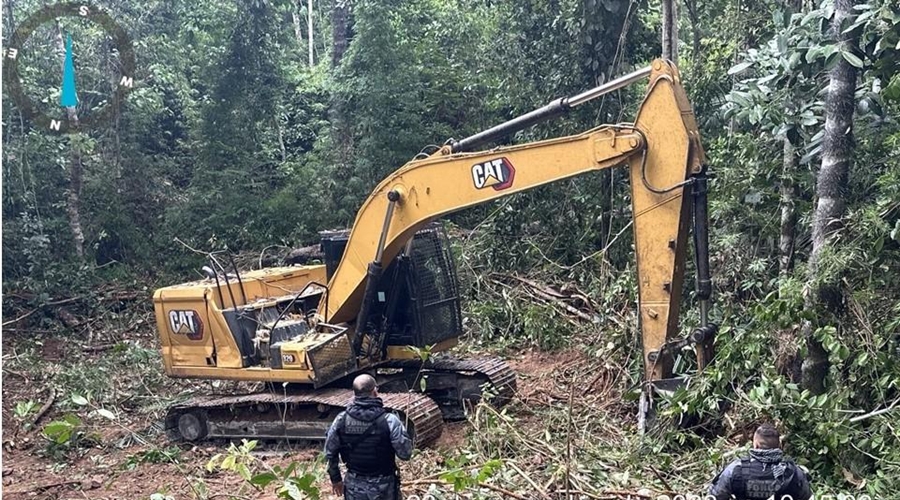 OPERAÇÃO AMAZÔNIA: Sema e Força Tática flagram desmatamento ilegal e infratores são multados em R$ 10 milhões