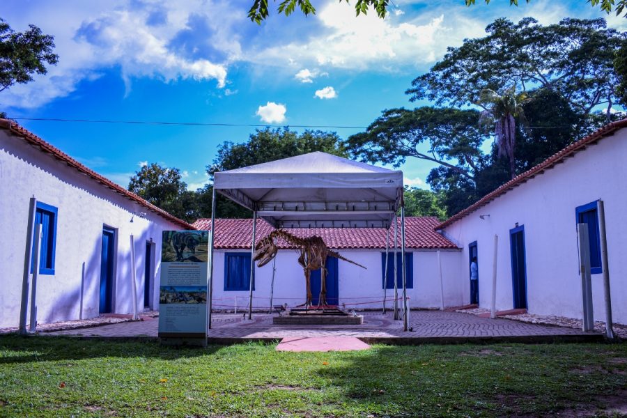 MT:  17 ANOS DE FUNDAÇÃO:   Museu de História Natural oferece atrações natalinas e inaugura trilha e biblioteca