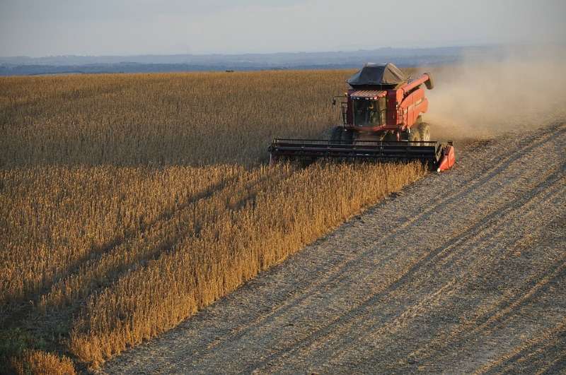 MT.  Grupo do agro em MT pede recuperação judicial após quebras de safra e dívidas acumuladas em R$ 244 milhões