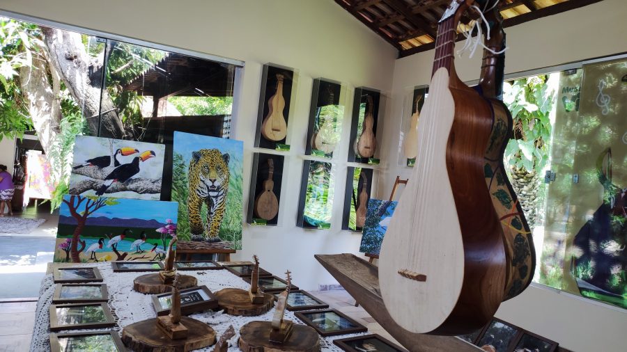 MT:  APOIO DA SECEL:   Museu realiza exposição sobre a viola de cocho em Santo Antônio de Leverger