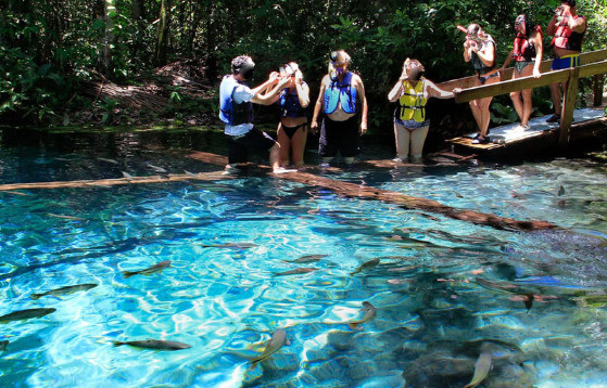 MT:  FECHADA HÁ 20 ANOS:   Turistas invadem gruta fechada em MT; há risco de degradação