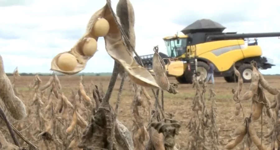 MT:  Agro em MT sofre disparada no número de pedidos de recuperação judicial