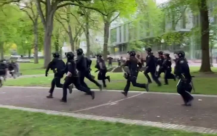 Gritos, correria e prisões: vídeo mostra ação da polícia em protesto pró-Palestina nos EUA