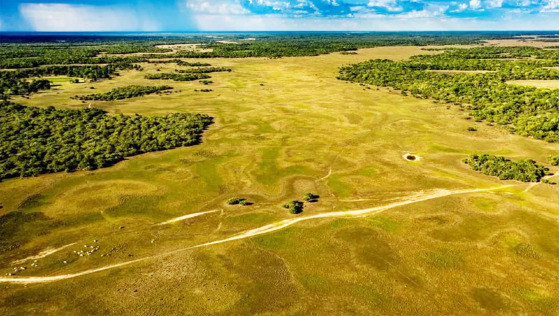 MT:   BIOMA AMEAÇADO:   Pantanal de MT pode ter uma das secas mais graves da história