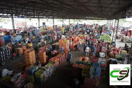 MT:  NA MESA:   Preço em queda da batata, banana e laranja segura inflação em abril