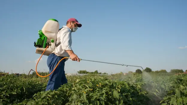 Glifosato: mitos e verdades sobre um dos agrotóxicos mais usados do mundo