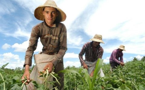 INCENTIVO  Saiba mais sobre o crédito rural para a agricultura familiar