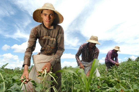 INCENTIVO  Saiba mais sobre o crédito rural para a agricultura familiar