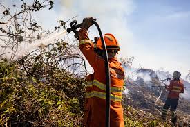 Corpo de Bombeiros combate três incêndios florestais em MT nesta quarta-feira (19)