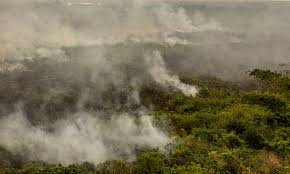 Força Nacional reforça equipe de combate a incêndios no Pantanal