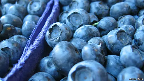 Suco de fruta pode aumentar risco de diabetes