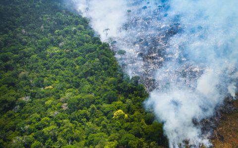 MT:  VIGIAR:   MT tem 30,50% dos municípios com nível crítico de queimadas