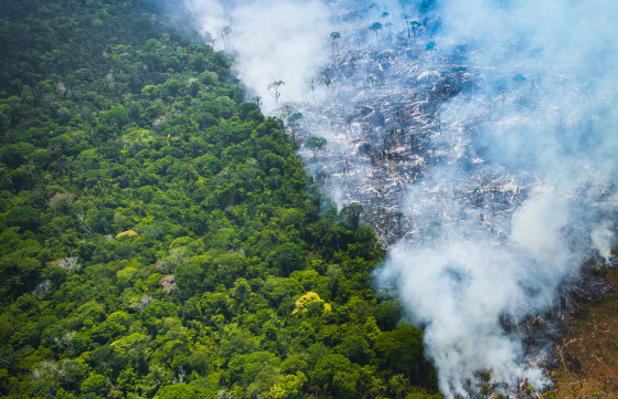 MT:  VIGIAR:   MT tem 30,50% dos municípios com nível crítico de queimadas