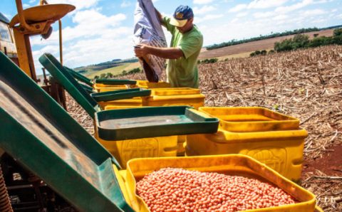 MT:;  SAFRA 2023/2024:   Mato Grosso lidera a expansão nacional do mercado de bioinsumos