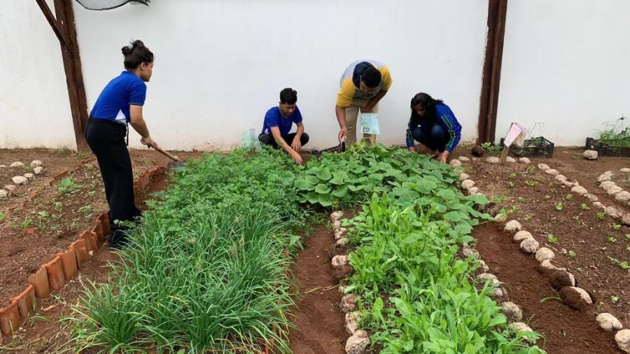 MT:   Estudantes que participam de projeto desenvolvido pela Seaf e Seduc desenvolvem sistemas de irrigação