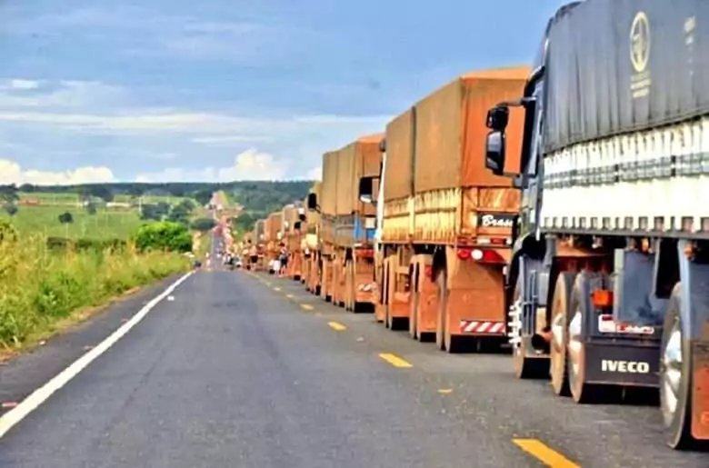 Comissão aprova agricultura ao longo de rodovias; texto vai ao Plenário