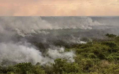 Seca e queimadas exigem mais cuidados com saúde; confira orientações