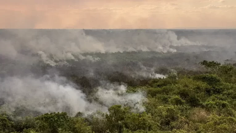 Corpo de Bombeiros combate 22 incêndios florestais em Mato Grosso neste sábado (03)