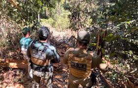 Polícia Civil flagra derrubada de árvores em área de preservação permanente no nordeste de MT