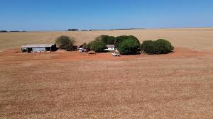 MT Par leiloa área de 2,4 mil hectares em Diamantino pronta para plantio