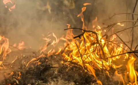 Efeitos da fumaça na saúde preocupam especialistas