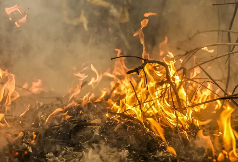 Focos de incêndio no Pantanal estão sob investigação da PF, diz Marina