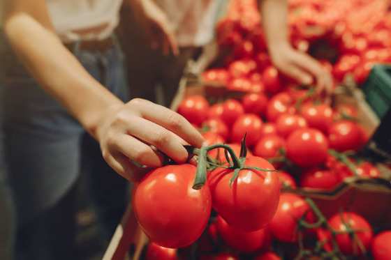 MT:  INFLAÇÃO NOS ALIMENTOS:   Agosto segue acumulando recuo no preço da cesta básica em Cuiabá