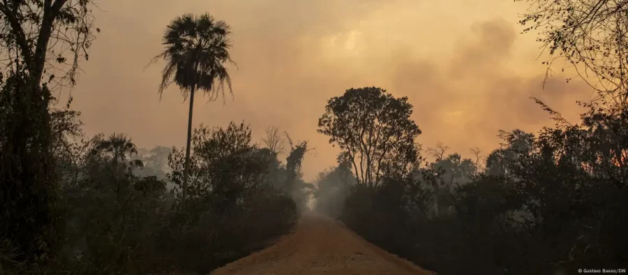 Fogo recorde no Pantanal foi agravado por mudança climática