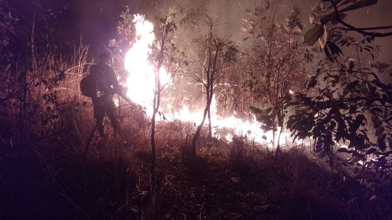 MT:  AÇÃO RÁPIDA:   Bombeiros combatem incêndio em área de vegetação em Santo Antônio de Leverger