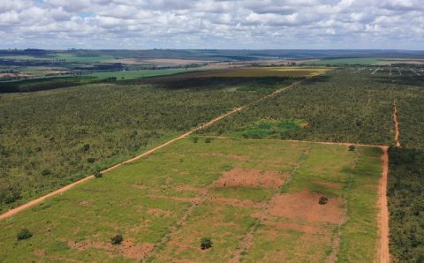 Área destinada à agricultura na Amazônia e Cerrado cresceu 22% sobre pastagens já antropizadas de 2018 a 2022