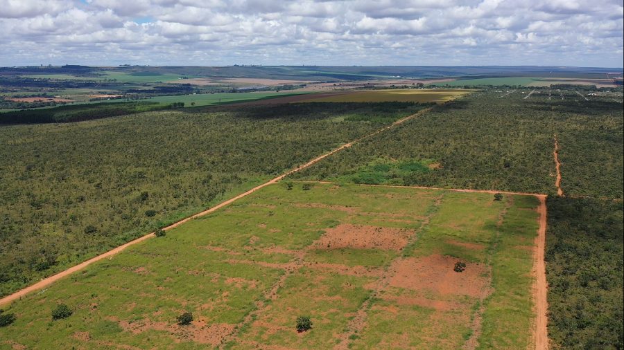 Área destinada à agricultura na Amazônia e Cerrado cresceu 22% sobre pastagens já antropizadas de 2018 a 2022