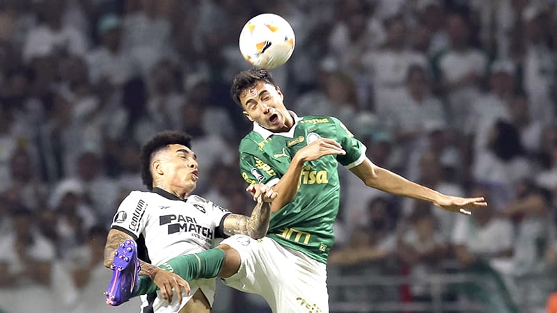 Pesadelo verde: Botafogo segue e Palmeiras cai fora da Libertadores