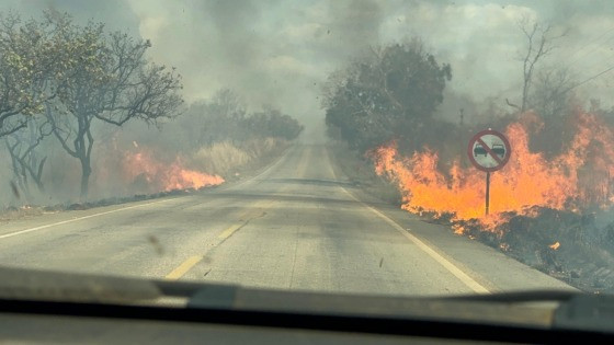 Inmet emite alerta de baixa umidade para 15 estados e o DF