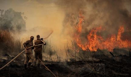 Instituições e comunidade unem esforços para combater incêndio em Porto Estrela