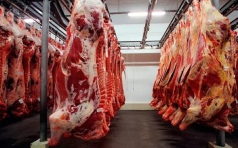 MT:  Mato Grosso registra recorde de exportação de carne bovina em agosto