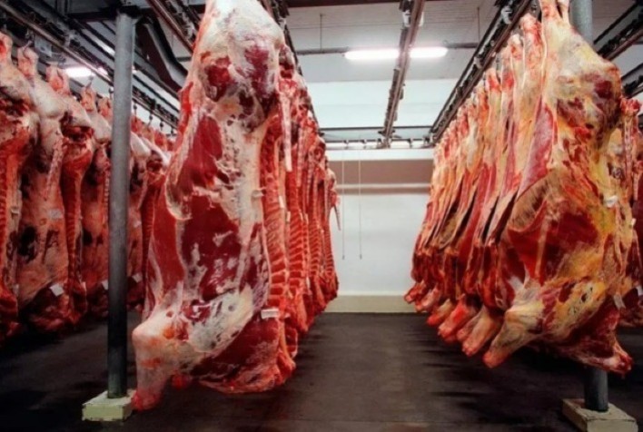 MT:  Mato Grosso registra recorde de exportação de carne bovina em agosto