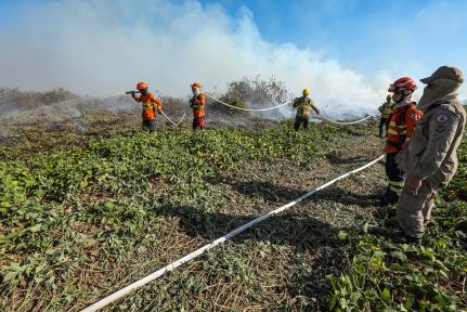 MT:   Líder em incêndios, MT usa só 13% dos bombeiros na ‘guerra’