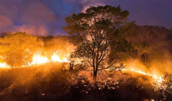 MT:  SECA PROLONGADA :   Mais de 50 cidades têm a situação de emergência reconhecida em MT