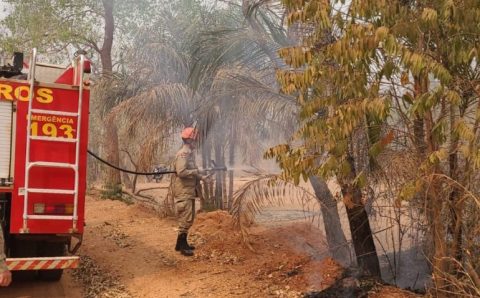 Corpo de Bombeiros combate incêndio em vegetação em Santo Antônio de Leverger