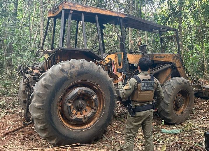 Operação Escudo Verde combate extração ilegal de madeira no norte de Mato Grosso