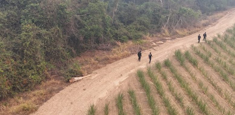 Polícia Civil localiza corpo de jovem desaparecido e prende quatro por homicídio e ocultação de cadáver