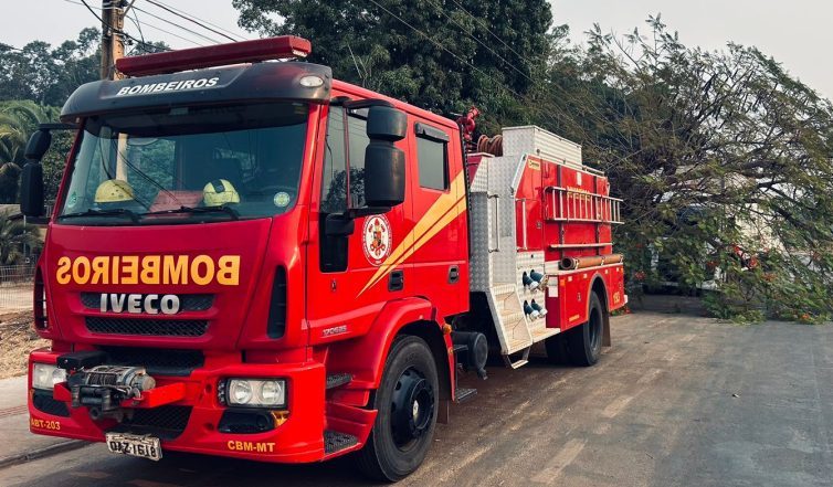 Bombeiros retiram árvore que caiu sobre caminhão em avenida