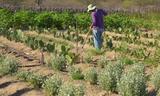 REFORMA AGRÁRIA:   Agricultores são convocados para regularizar situação em 115 assentamentos de 11 estados